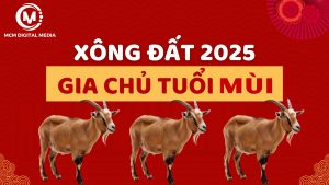 Chọn Tuổi Xông Nhà Cho Gia chủ tuổi Mùi 2025