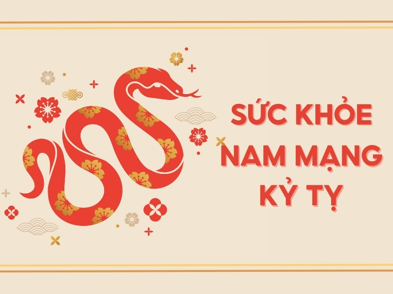 Sức Khỏe Tuổi Kỷ Tỵ Năm 2025 Nam Mạng