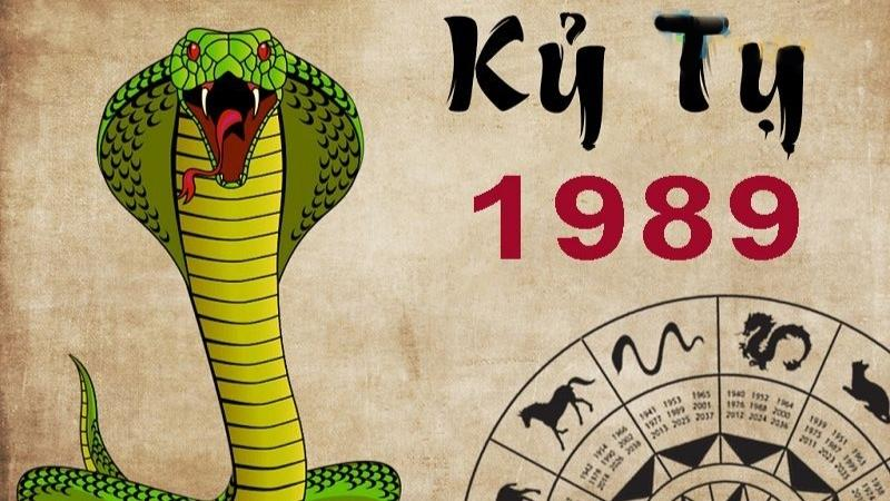 Tài Chính Tuổi Kỷ Tỵ Năm 2025 Nam Mạng