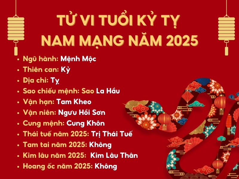 Tử Vi Tuổi Kỷ Tỵ Năm 2025 Nam Mạng: Dự Báo Chi Tiết Vận Hạn Và Cơ Hội