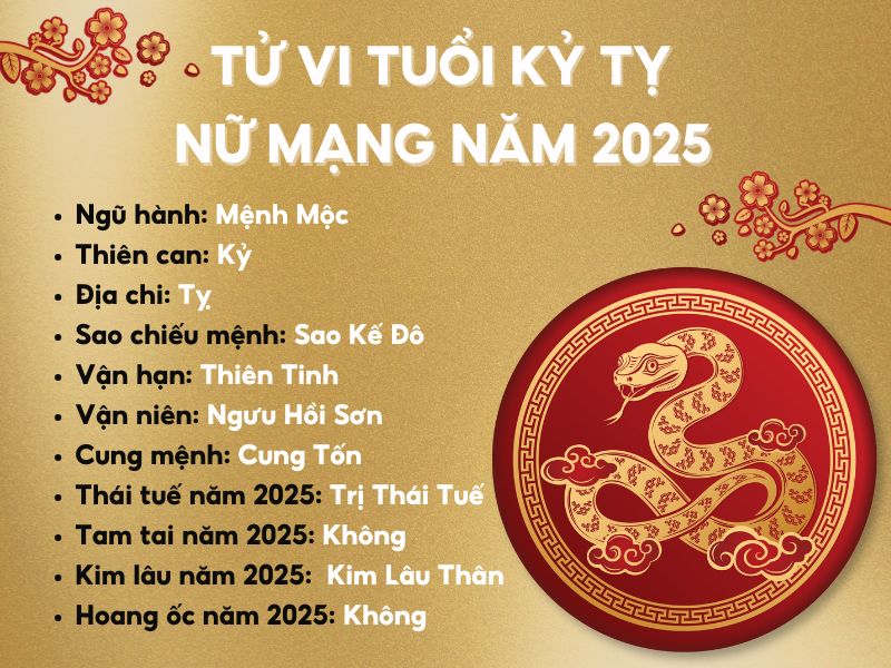 Tử Vi Tuổi Kỷ Tỵ Năm 2025 Nữ Mạng: Chi Tiết Vận Hạn Và Cơ Hội
