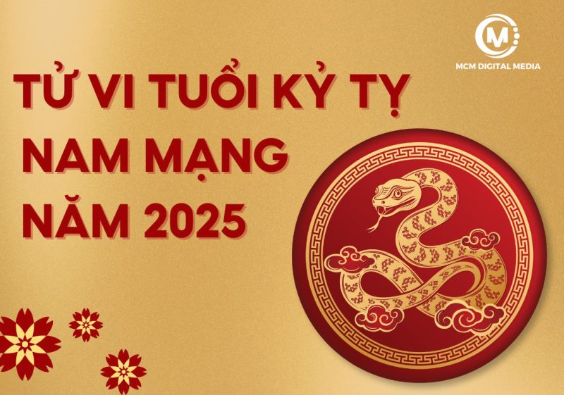 Tử Vi Tuổi Kỷ Tỵ Năm 2025 Nam Mạng
