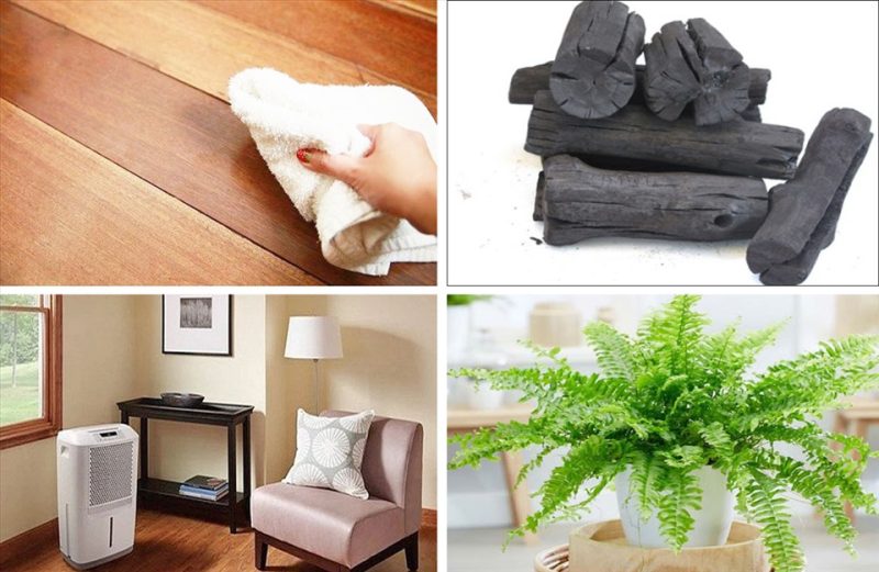 Cách Chống Nồm Ẩm Trong Nhà Hiệu Quả