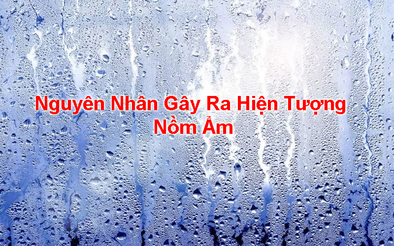 Nguyên Nhân Gây Ra Hiện Tượng Nồm Ẩm