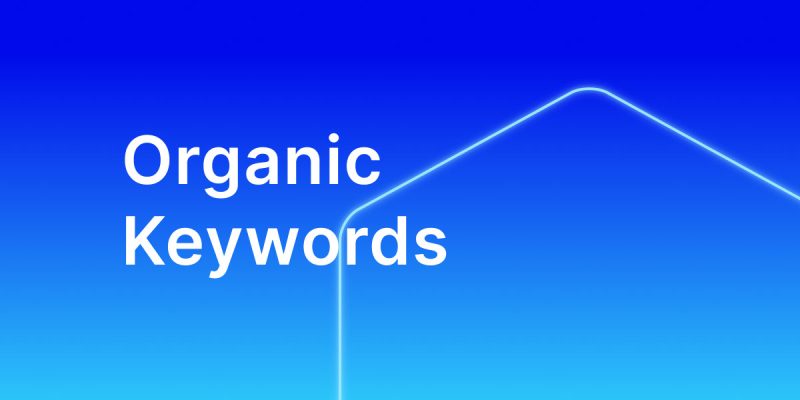 Organic Keywords Là Gì