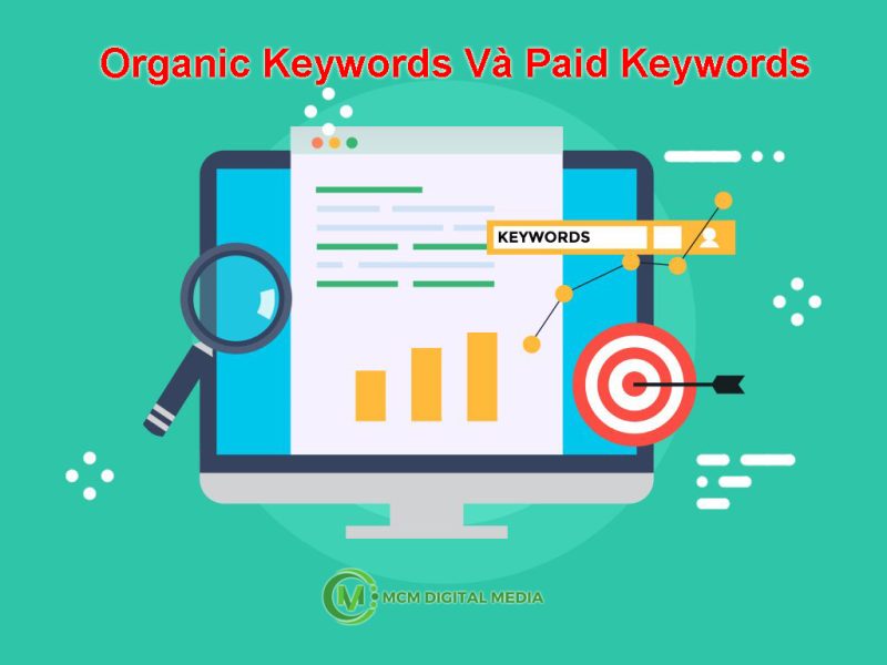 Organic Keywords Và Paid Keywords