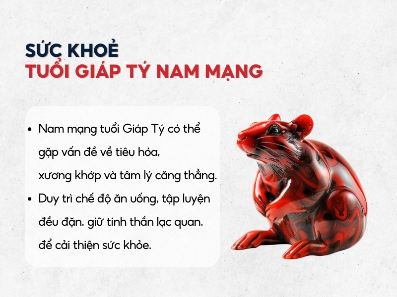 Sức Khỏe Tuổi Giáp Tý Năm 2025