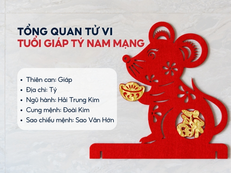 Tử Vi Tuổi Giáp Tý Năm 2025 Nam Mạng