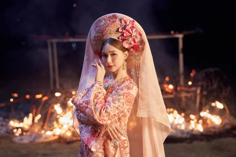 Hình Ảnh, Bối Cảnh Đầu Tư Chỉnh Chu
