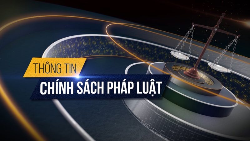 Các Quy Định Pháp Luật Và Chính Sách Liên Quan