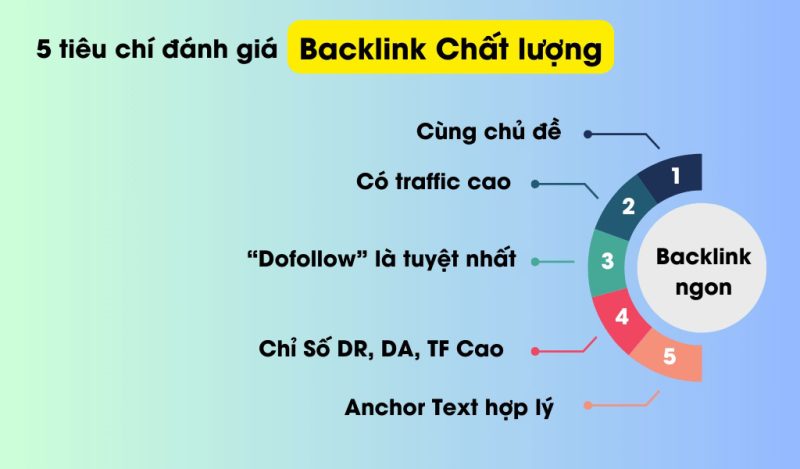 Tiêu Chí Đánh Giá Backlink Chất Lượng