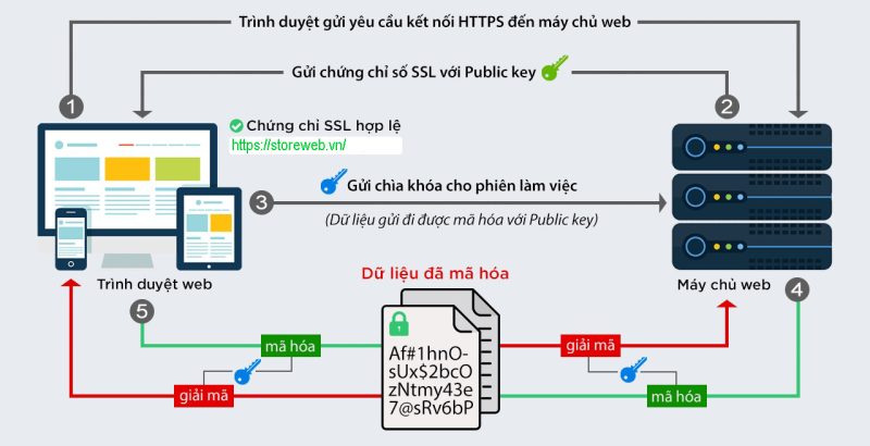 SSL Hoạt Động Như Thế Nào?