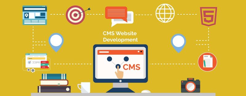 Luôn Cập Nhật CMS, Plugin và Theme