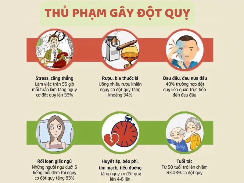 nguyên nhân gây đột quỵ