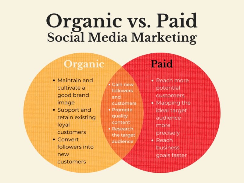 Organic vs Paid: Khi nào nên dùng gì?