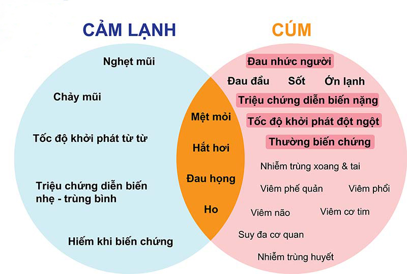 Cúm A khác gì với cảm lạnh thông thường?